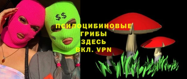 дживик Вязники