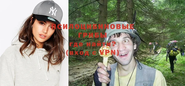 дживик Вязники