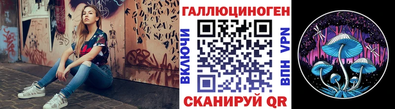 Купить закладки  Магадан  Галлюциногенные грибы Magic Shrooms 
